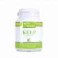 kelp60520bef2615b