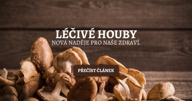 Houby léčivé